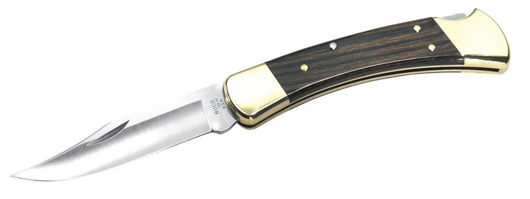 Buck Knives 110BRS Folding Hunter Knife